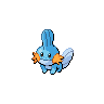 Mudkip NB.png