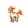 Ponyta NB.png