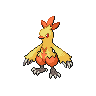 Combusken NB.png