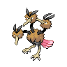 Dodrio NB.png