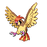 Pidgeotto NB.png