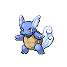 Wartortle NB.png