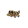 Sandile NB.png