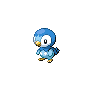 Piplup NB.png