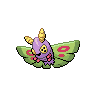 Dustox NB hembra.png