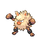 Primeape NB.png