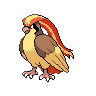 Pidgeot NB.png