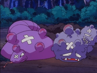 Arbok y Weezing fuera de combate.