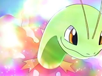 Meganium de la enfermera Joy usando aromaterapia.