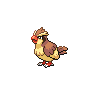 Pidgey NB.png