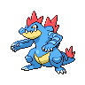 Feraligatr NB.png