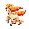 Rapidash NB.png