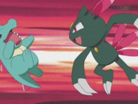 Sneasel usando cuchillada.