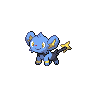 Shinx NB hembra.png