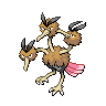 Dodrio NB hembra.png