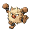 Primeape