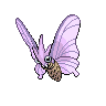 Venomoth NB.png