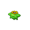 Skiploom NB.png