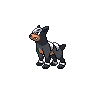 Houndour NB.png