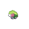 Shaymin tierra NB.png