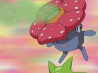 Vileplume de Sheridan usando aromaterapia.