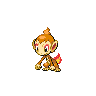 Chimchar NB.png