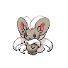 Cinccino NB.png