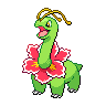 Meganium NB.png