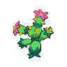 Maractus NB.png