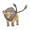 Tauros