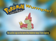 Wurmple