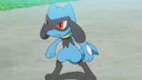 Cuando era un Riolu