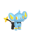 Shinx