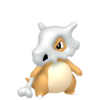 Cubone