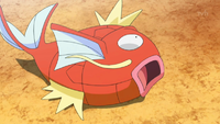 Cuando era un Magikarp