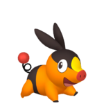 Tepig macho