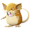 Raticate