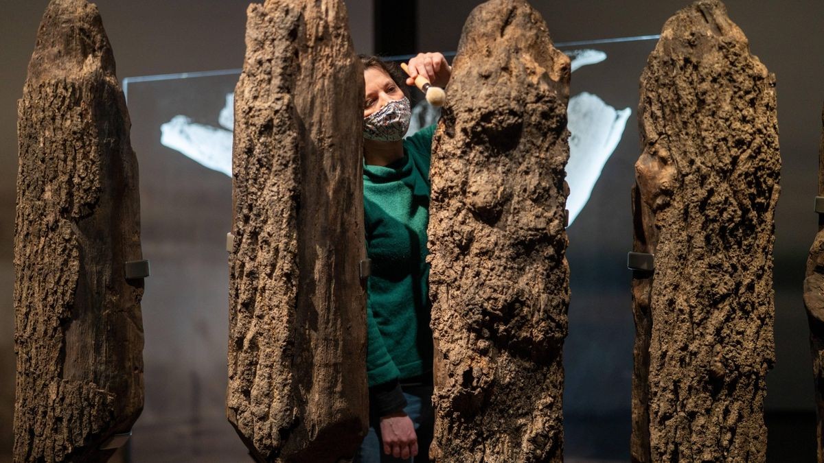 Eichenstämme von „Seahenge“ im British Museum. Viele Einwohner der Grafschaft Norfolk stellten sich 1998 gegen die Pläne, „Seahenge“ auszugraben. Die Stätte sollte in ihrem Naturzustand belassen werden. Doch die Behörden hatten wohl keine Wahl. Im nächsten Sturm hätte das Meer „Seahenge“ mit sich reißen können.