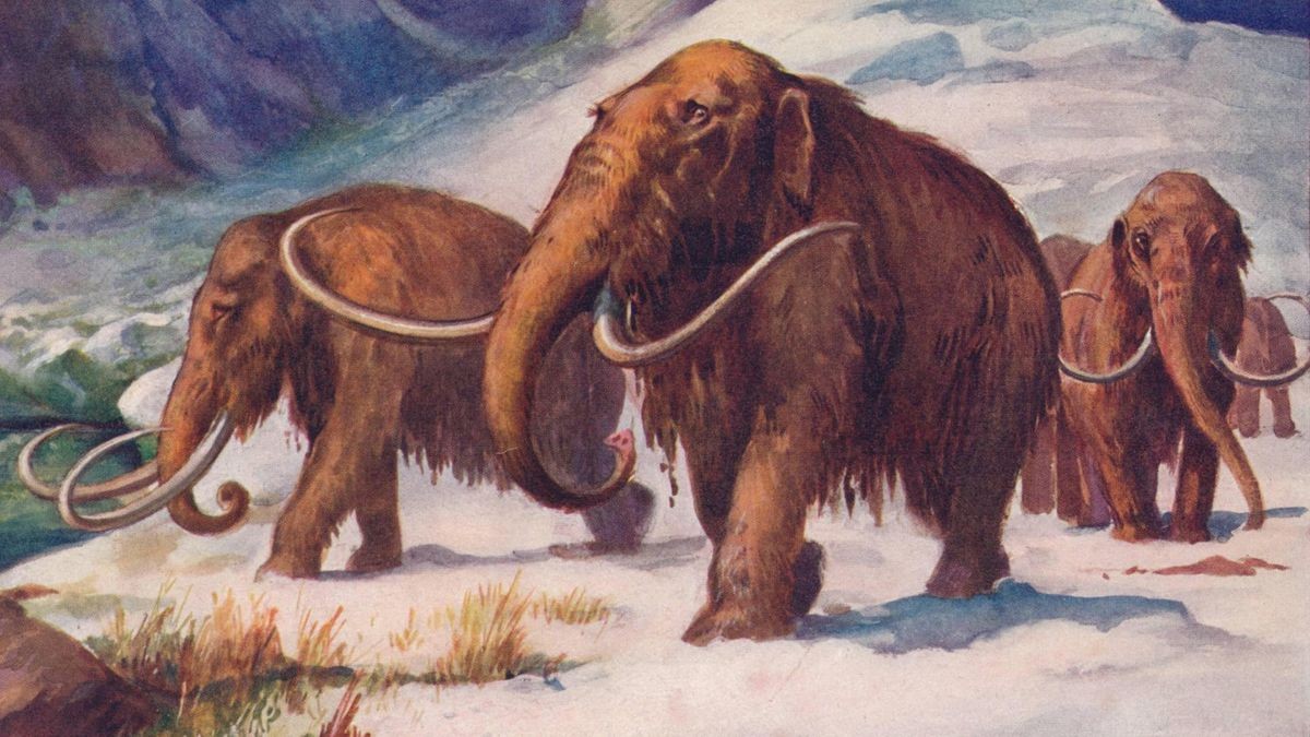 RECORD DATE NOT STATED The early Ice Age, when mammoths roamed the Earth and Man was arising, 1907. Artist: Unknown. Cop