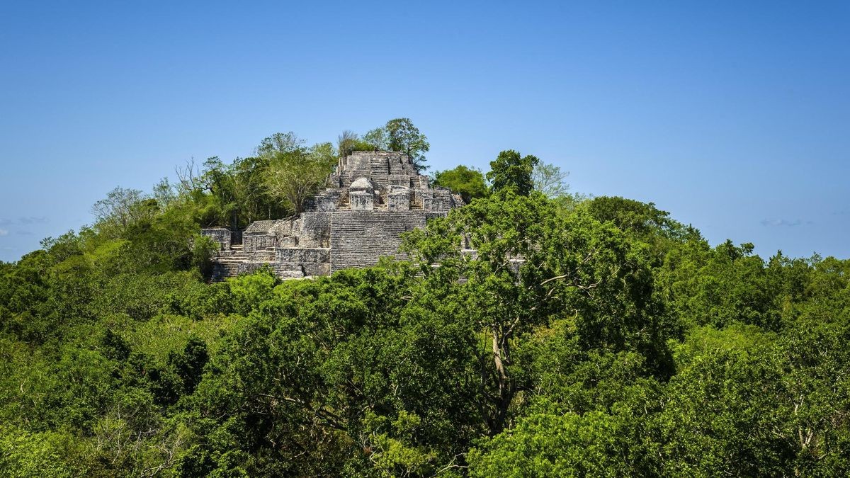 Ruinen, antike Stadt, Mayastadt Calakmul, Ausgrabungsstätte, Calakmul Biosphärenreservat, Campeche, Mexiko, Mittelamerika