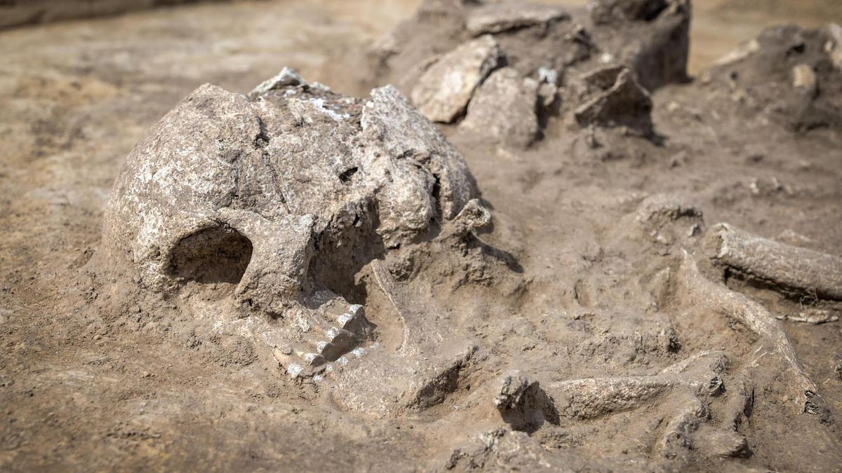 6000 Jahre altes Totenhaus bei Ilberstedt entdeckt