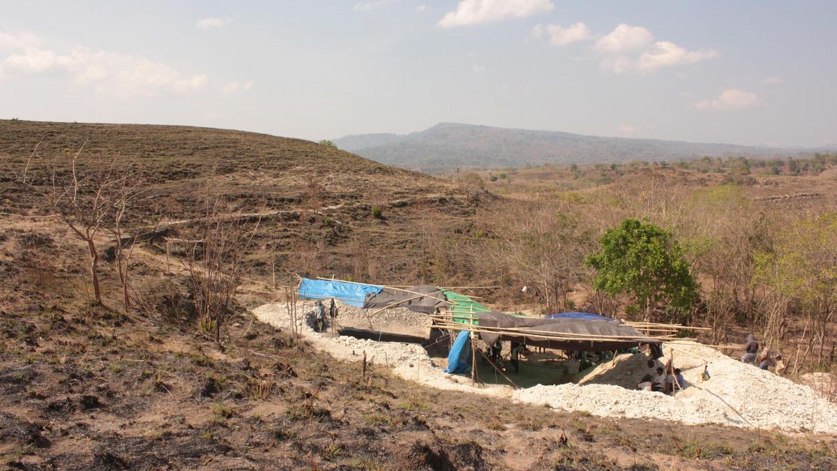 In einer Ausgrabungsstätte auf der Insel Flores, Indonesien, haben Forschende Überreste menschlicher „Hobbits“ entdeckt.