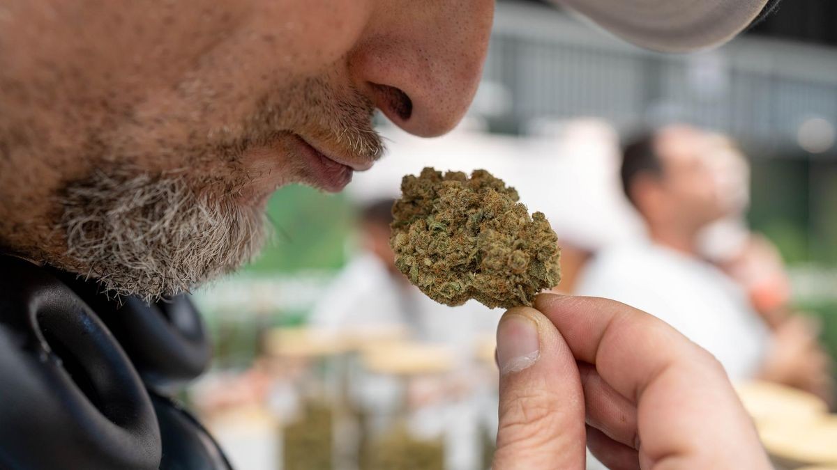 Die Cannafair ist die erste große Cannabis-Messe nach der Legalisierung / Entkriminalisierung in der Mitsubishi Electric Halle in Düsseldorf am Freitag den 23.08.2024. Foto: Lars Heidrich / FUNKE Foto Services