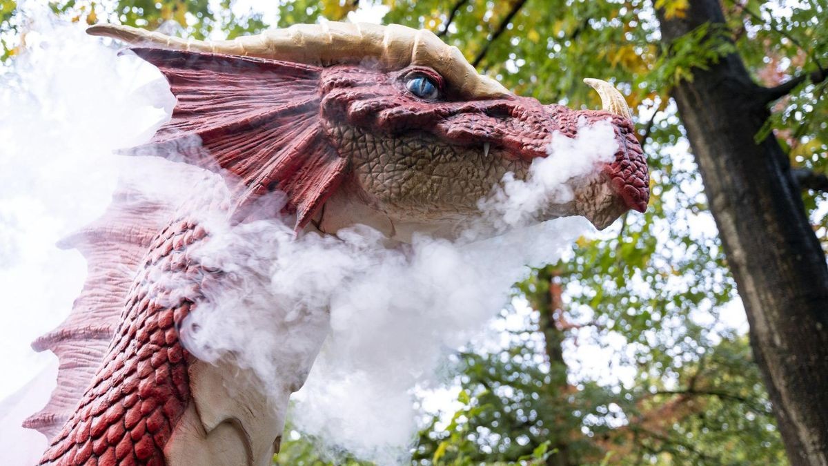 So sieht der feuerspeiende Drache im Burgers‘ Zoo in Arnheim aus.