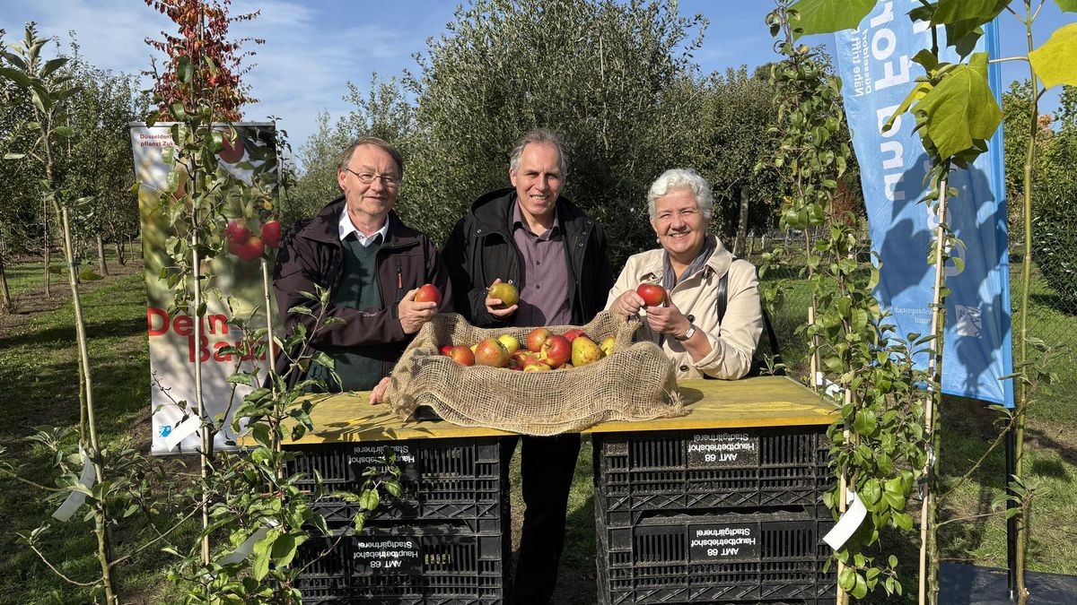 Jörg Langenhorst, Leiter des Hauptbetriebshofs im Gartenamt, Umweltdezernent Jochen Kral und Gartenamtsleiterin Doris Törkel (v.l.), stellten die vierte Auflage der Düsseldorfer Aktion 