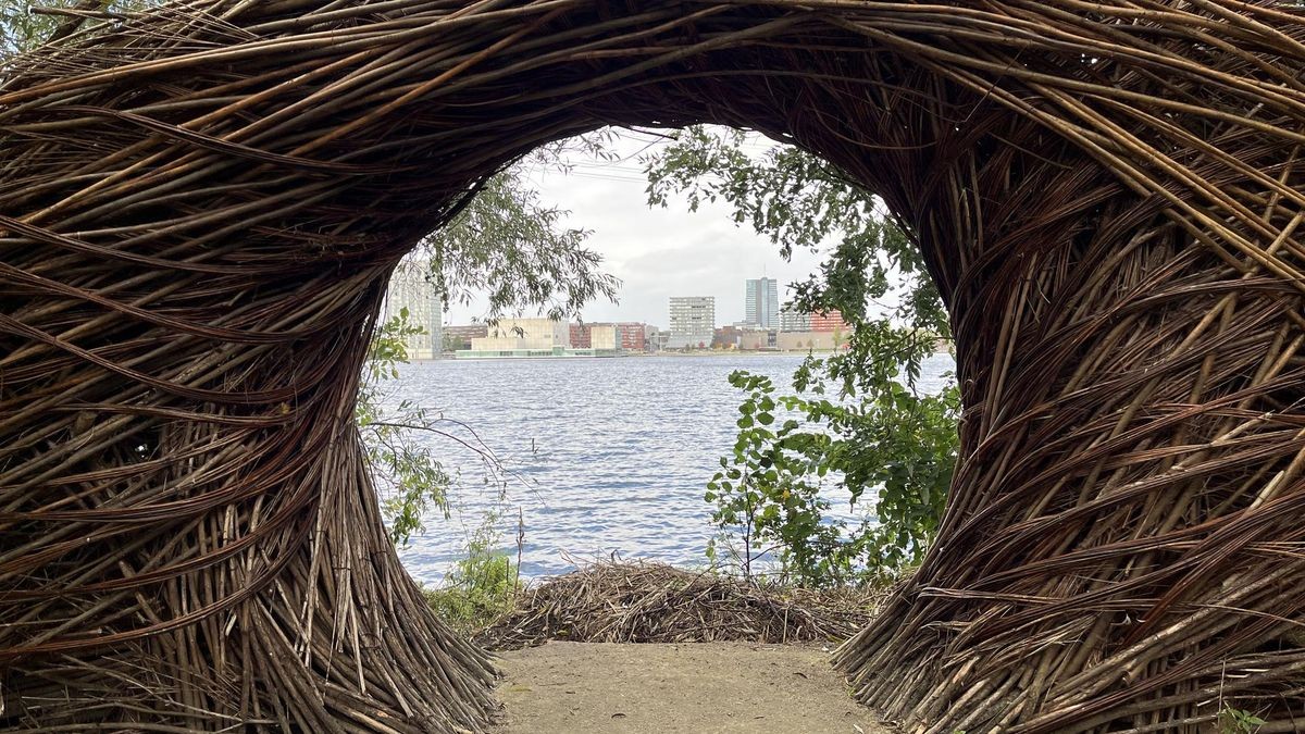 Durch die Schilfskulptur von Künstler Will Beckers kann man von Utopia Island auf Almere gucken. 