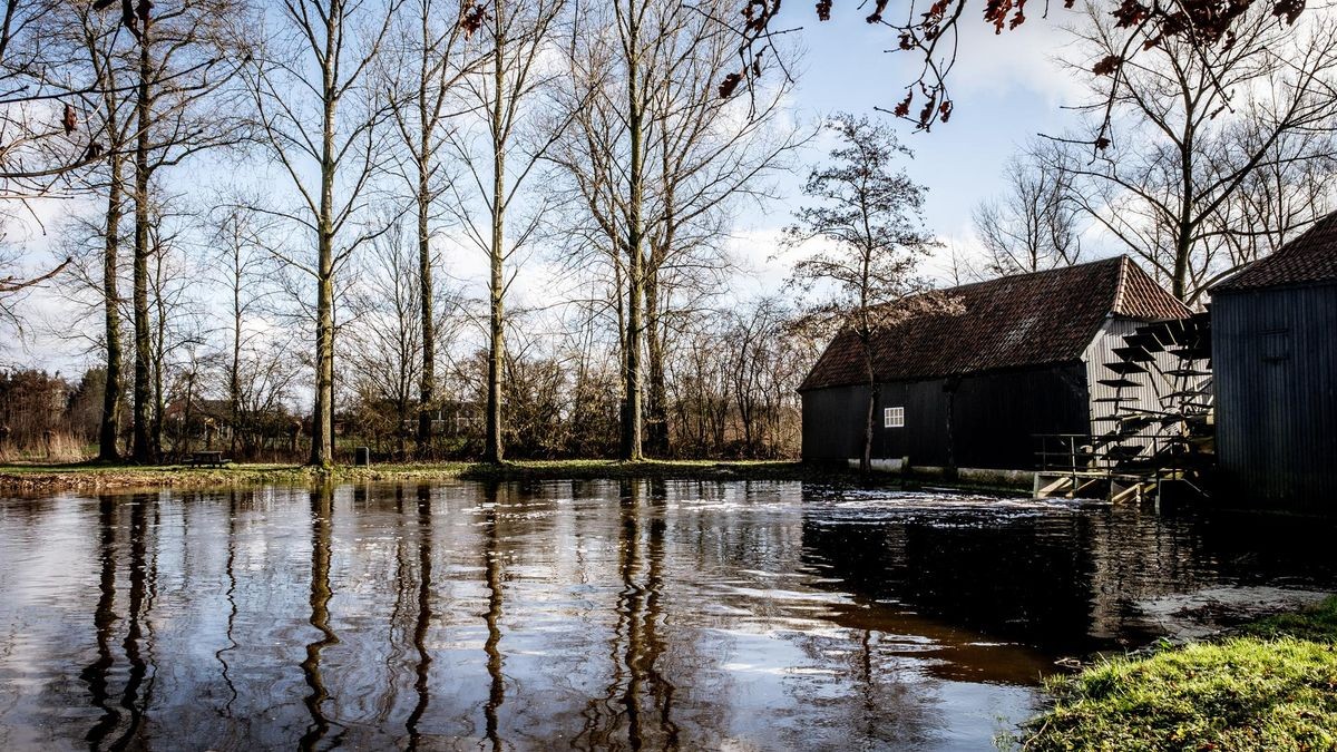 Viel Natur und Ruhe zeichnet den Van-Gogh-Nationalpark aus.