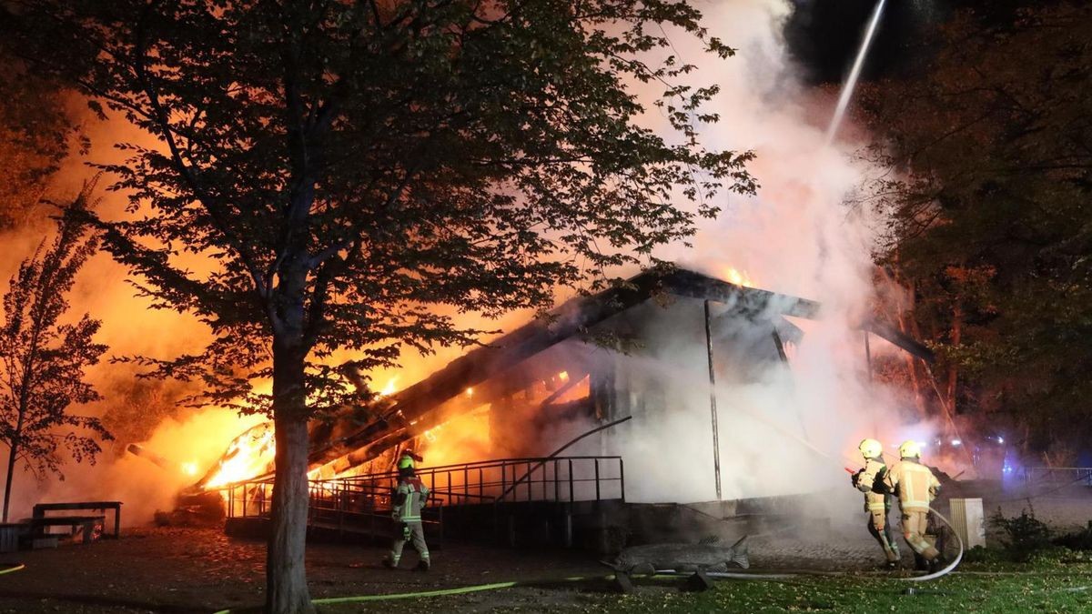 Schock im Britzer Garten: Mehrere Brandstiftungen, Freilandlabor komplett zerstört! Neukölln