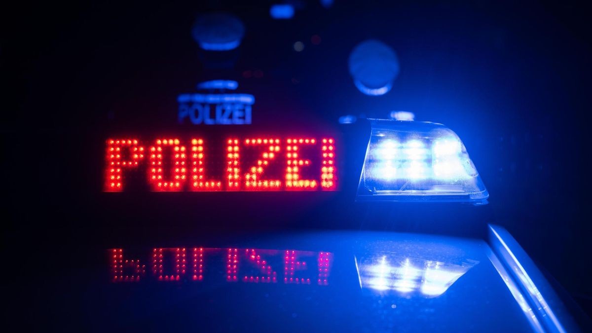 Dieb versteckt sich auf der Flucht vor Polizei in Mülltonne