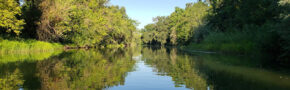 A view from the front of a kayak on a calm, reflective river surrounded by dense green foliage and trees under a clear blue sky.